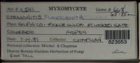 Image Associated With the Occurence